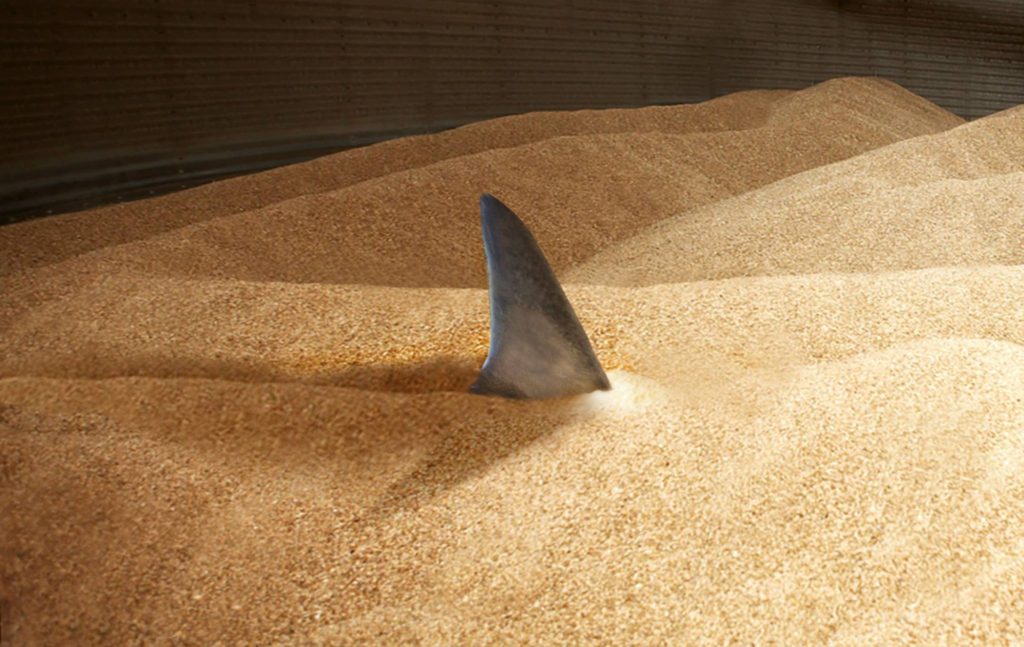 SCAFCO Grain Entrapment Prevention