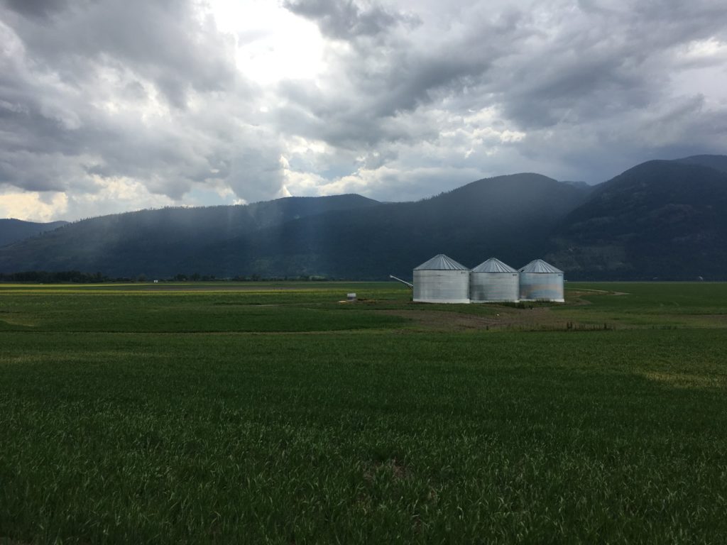 Idaho Farm Bins